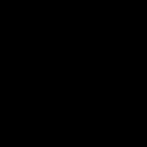 Meet your Posher, Sana